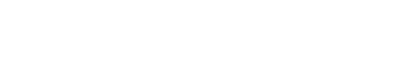 Ebonee Array™